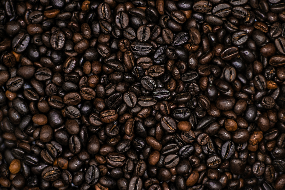 Why Robusta Drinks the Way It Does