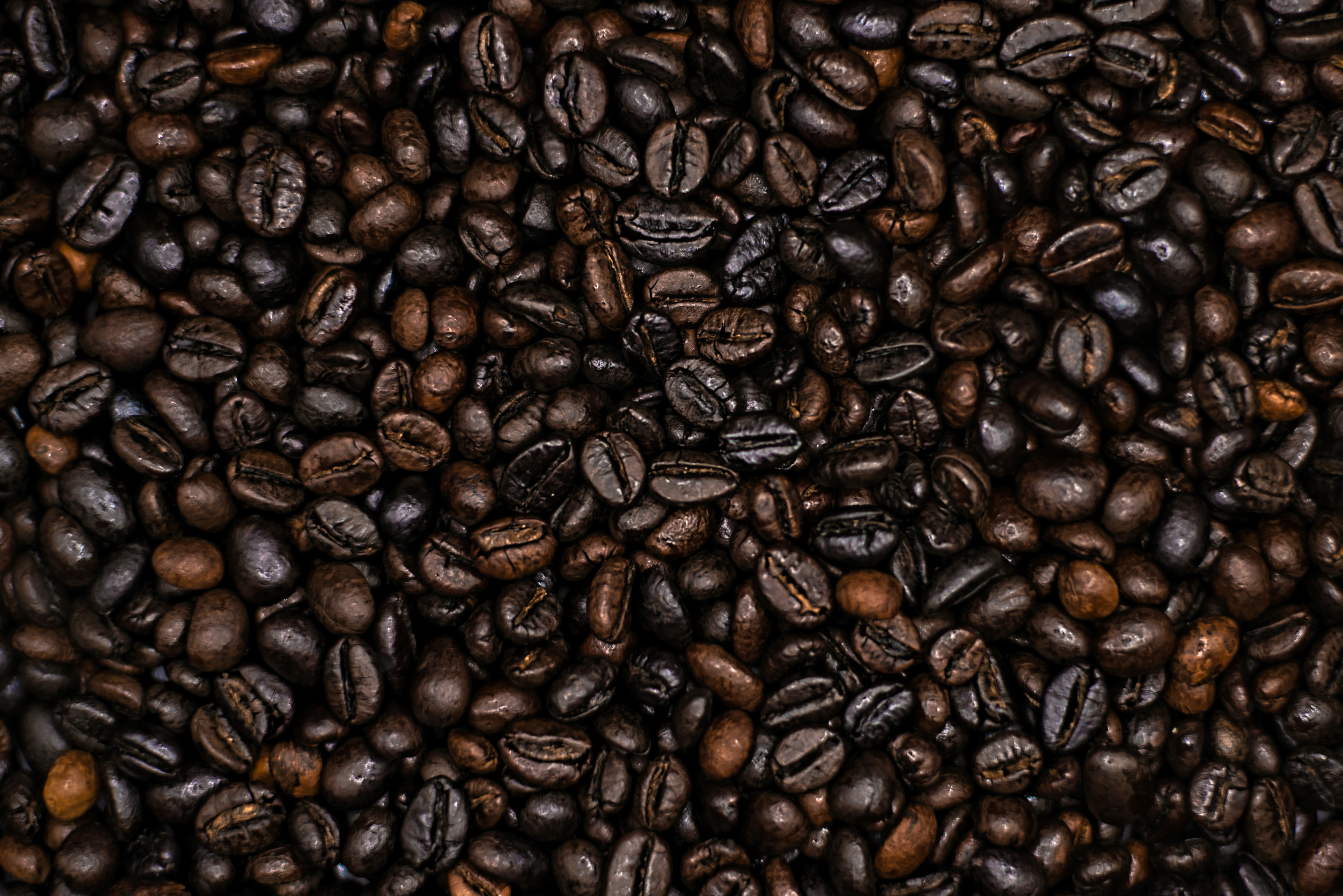 Why Robusta Drinks the Way It Does