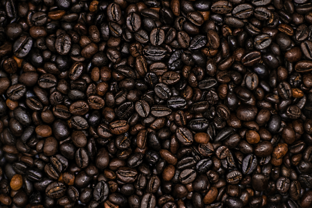 Artisan Vietnamese Robusta
