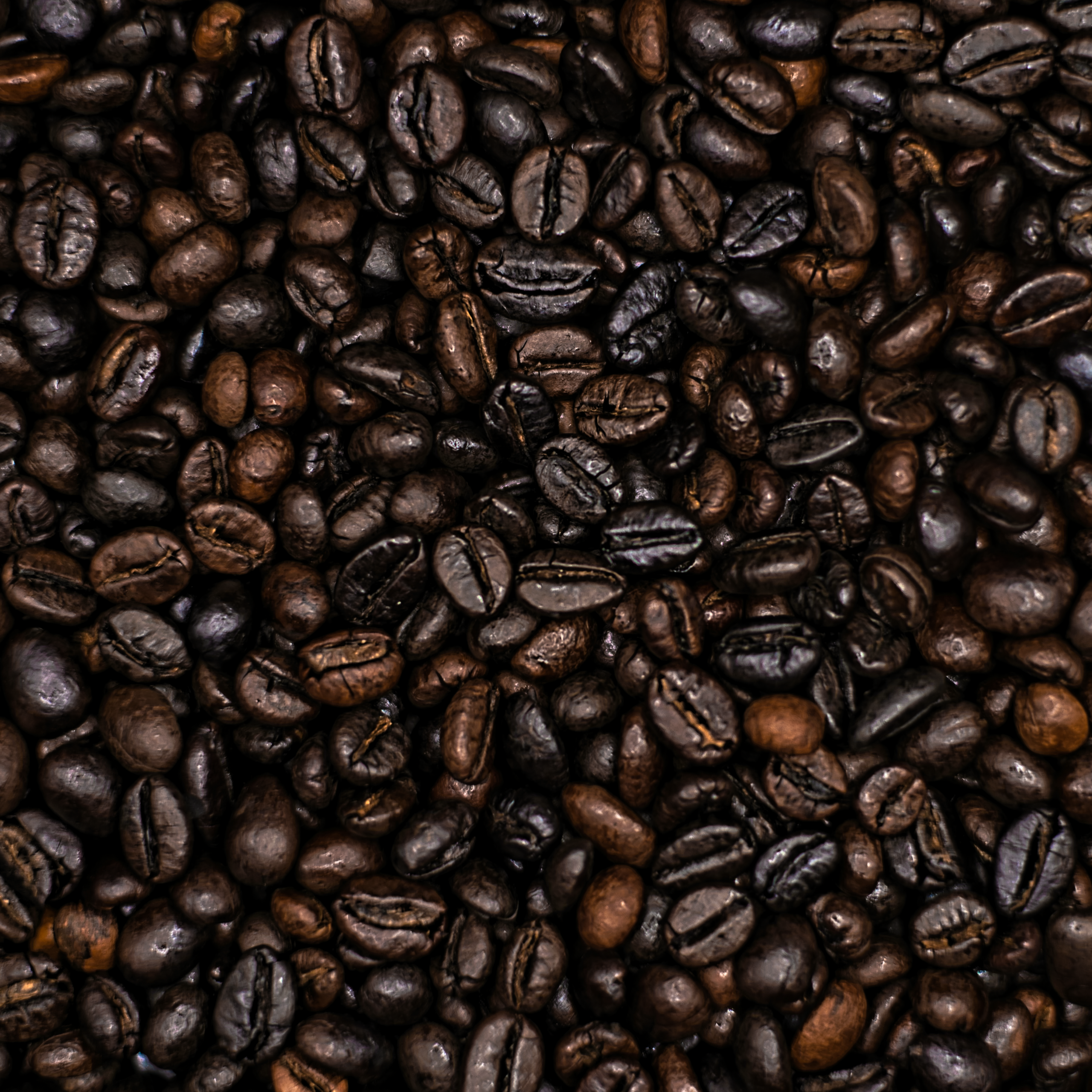 Artisan Vietnamese Robusta
