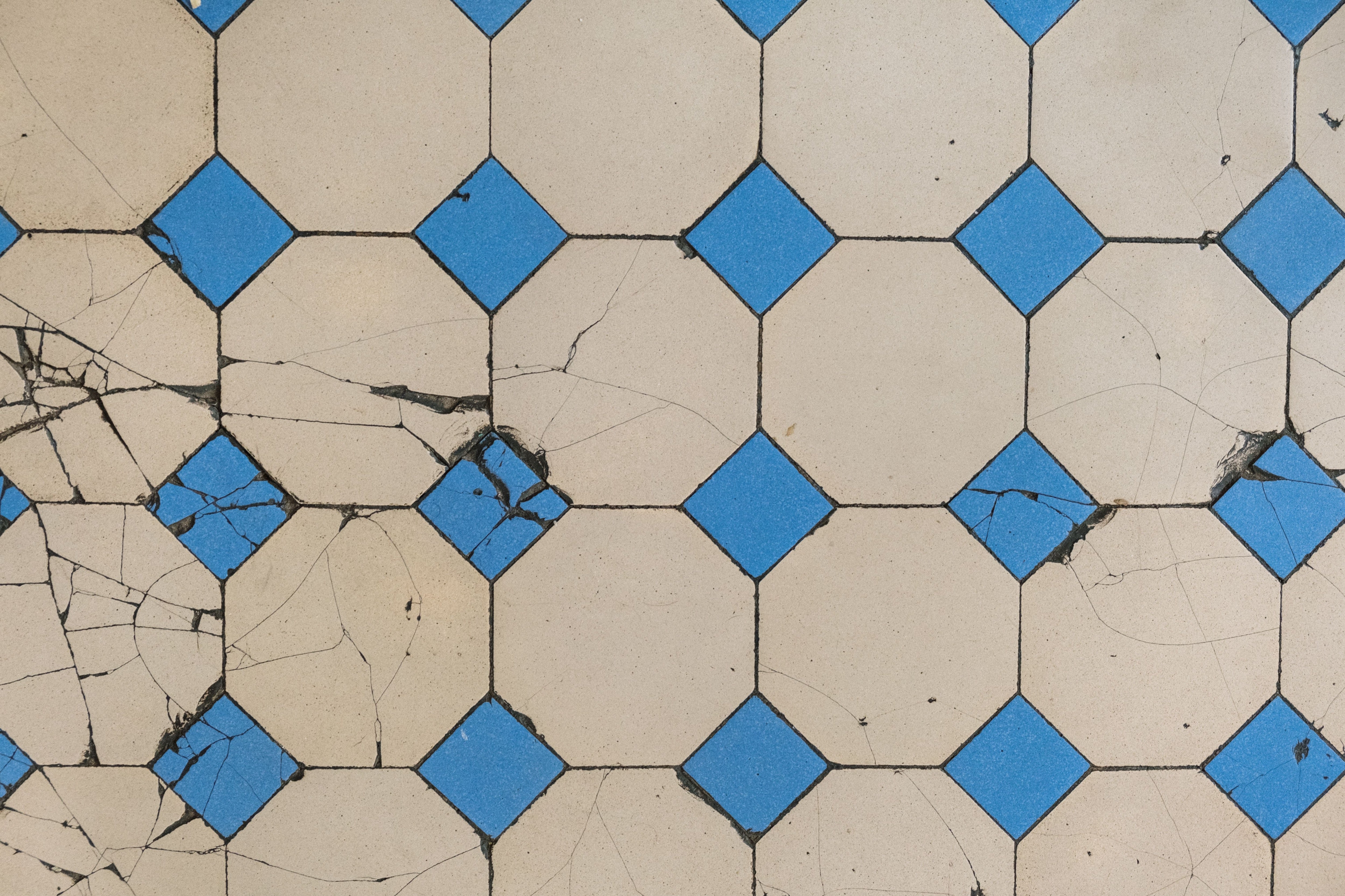 Blue and white diamond cement tiles, the pattern behind the Feviba logo