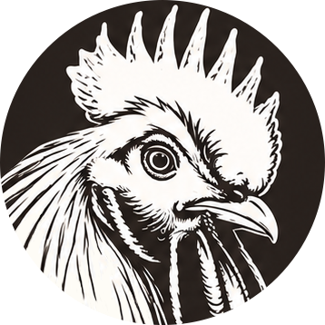 Feviba Logo